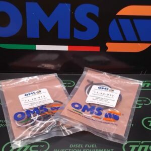 Ремкомплект форсунки 11-23-213 OMS (F 00H N37 928+, F00 V X99 996 PDE100-PDE110)