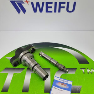 Плунжерна пара 2418455524 WEIFU IVECO