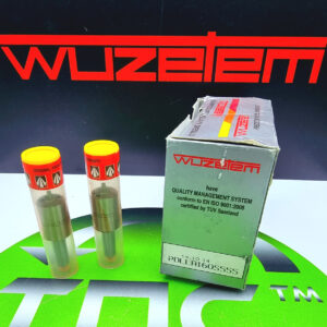 Розпилювач дизельної форсунки PDLLA 160 S 555 (ан. 0 433 271 263 DLLA 160 S 555 BOSCH) Wuzetem Lombargini 3LD 450