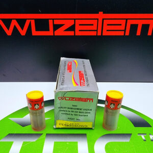 Розпилювач дизельної форсунки PDN 0 SD 269 (ан. 0 434 250 132 DN 0 SD 269 BOSCH, BDN 0 SD 269 DELPHI) Wuzetem Ford