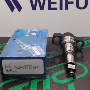 Плунжерна пара 2418455508 (U946) WEIFU RENAULT