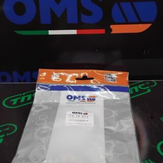 Ремкомплект ПНВТ 1417010013  ( PES 6M..(RSF)  10-15-011 OMS ITALY